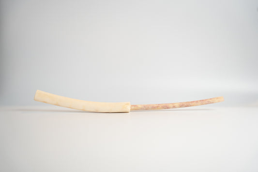 Turkey Wing Bone